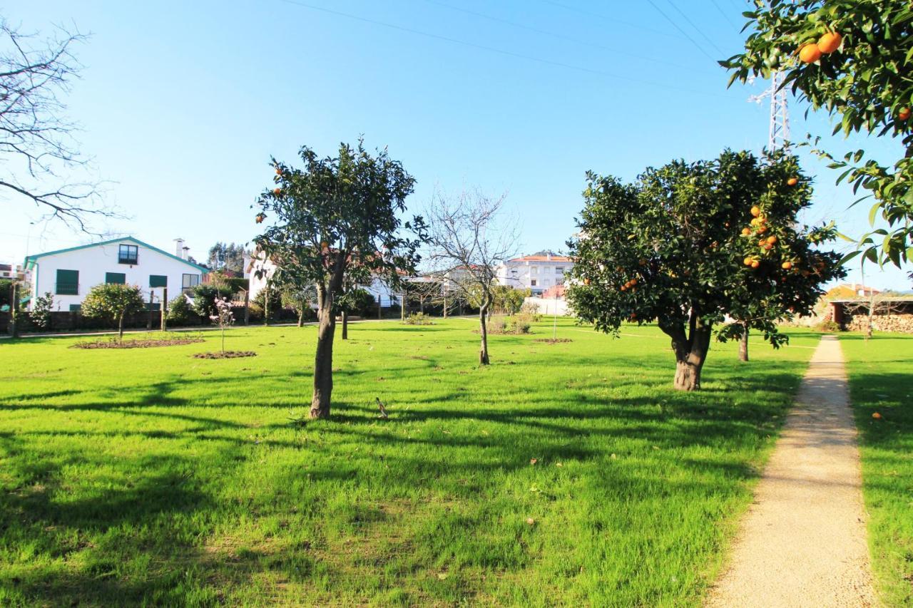 Vila Casa Dos Ouricos Ponte de Lima Exteriér fotografie