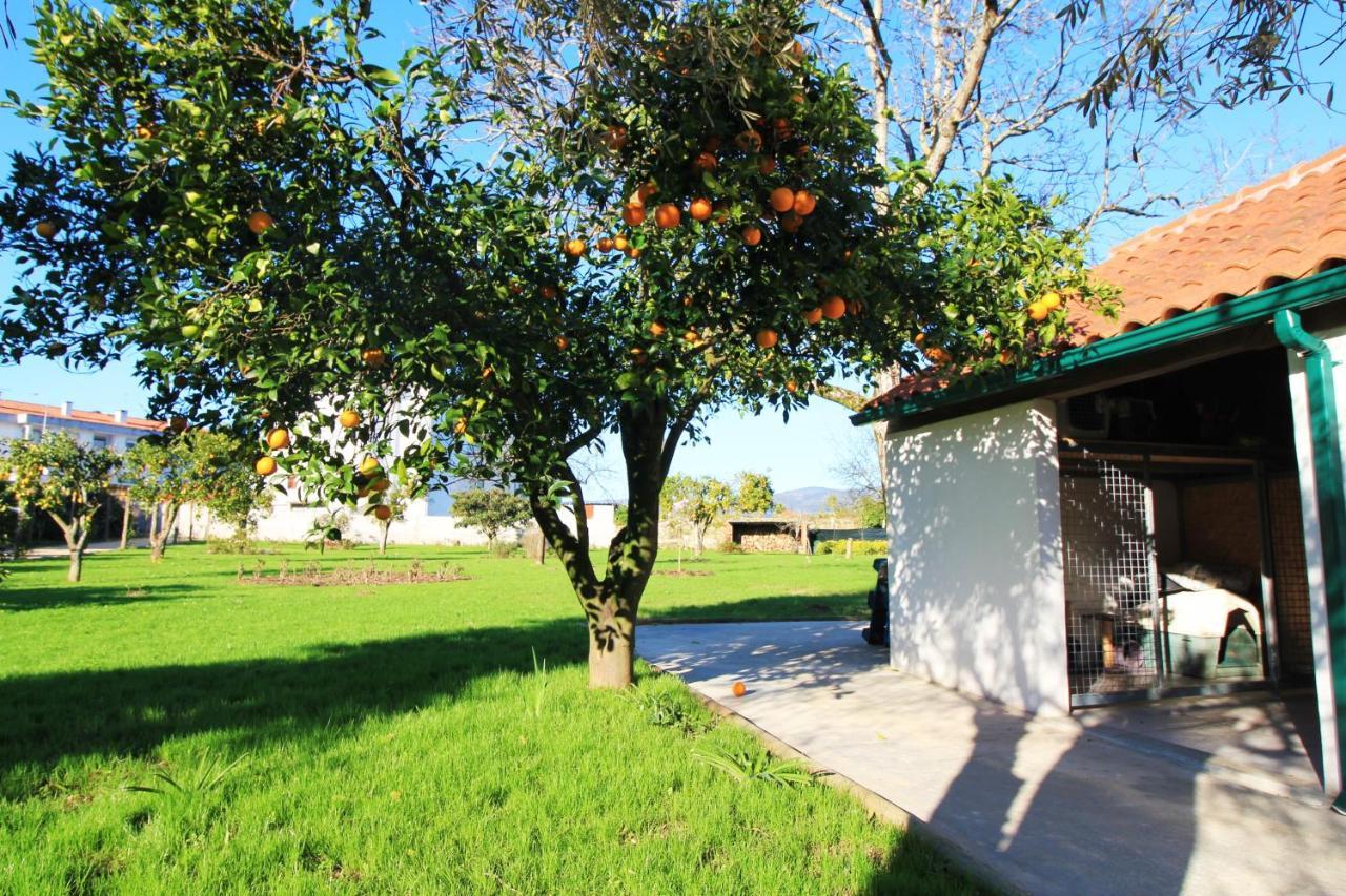 Vila Casa Dos Ouricos Ponte de Lima Exteriér fotografie